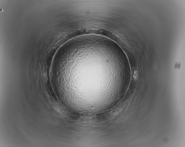 X0000090900771200708131351