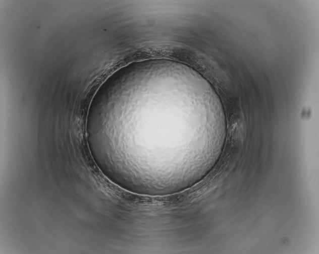 X0000090900772200708131351