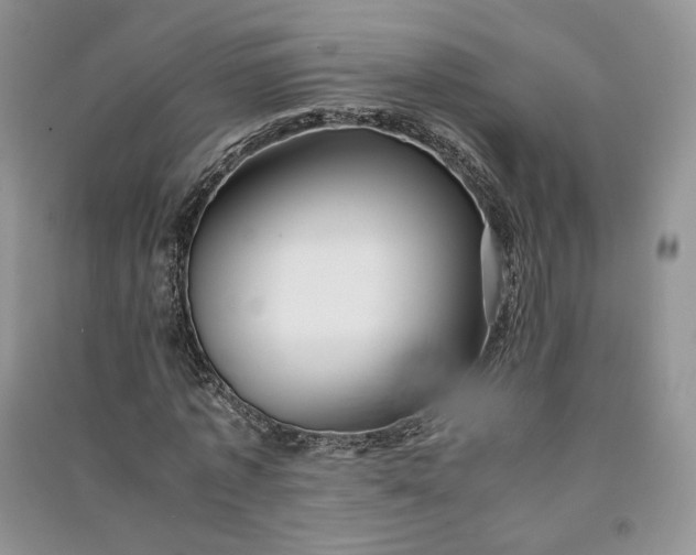 X0000090900773200708131351