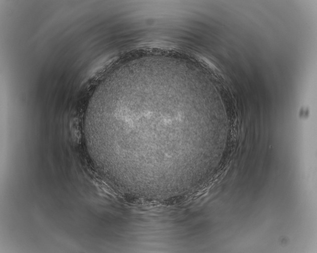 X0000090900774200708131351