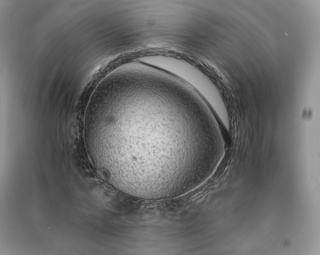 X0000090900776200708131351