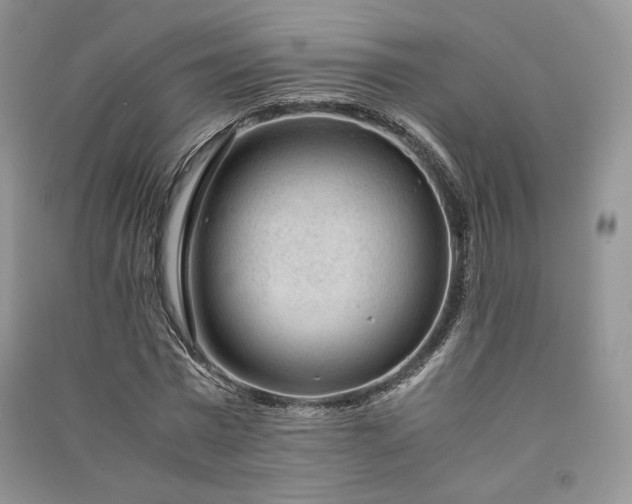 X0000090900777200708131351