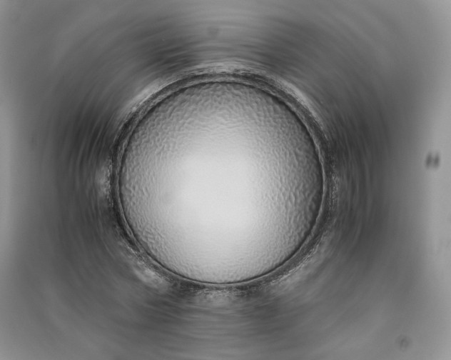 X0000090900778200708131351