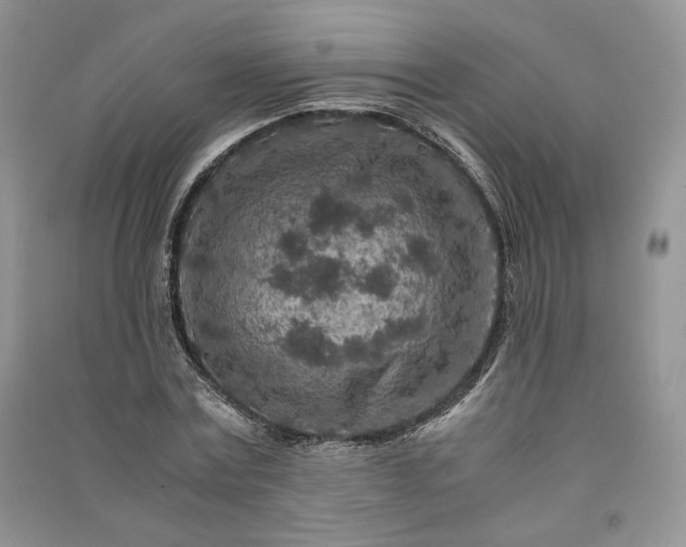 X0000090900779200708131351
