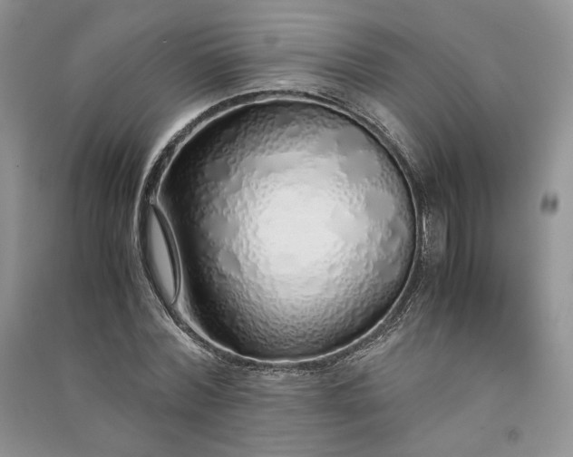 X0000090900780200708131351