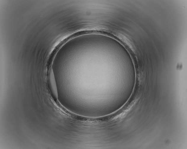 X0000090900781200708131351