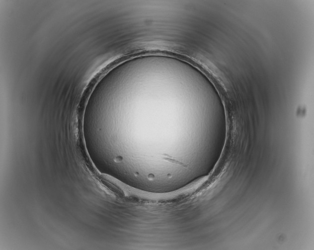 X0000090900782200708131351