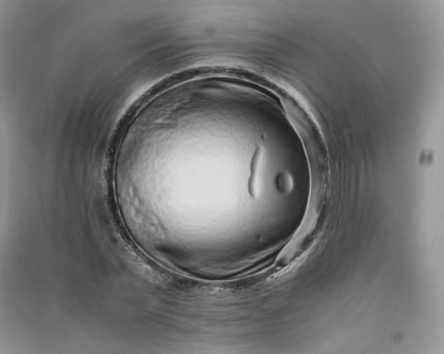 X0000090900783200708131351