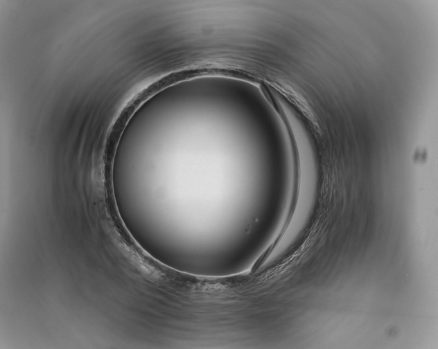 X0000090900784200708131351