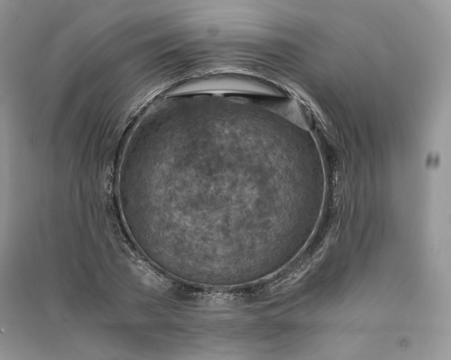 X0000090900785200708131351