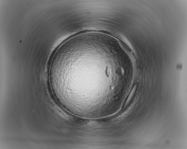 X0000090900787200708131351