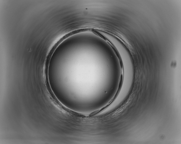 X0000090900788200708131351