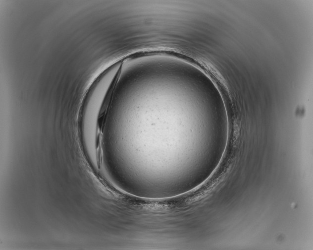 X0000090900789200708131351