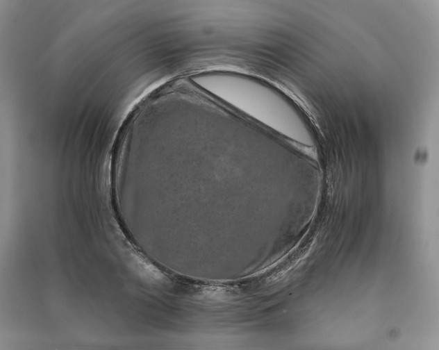 X0000090900790200708131351