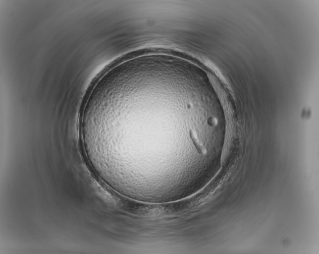 X0000090900791200708131351