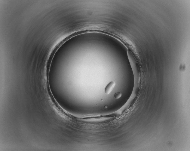 X0000090900792200708131351