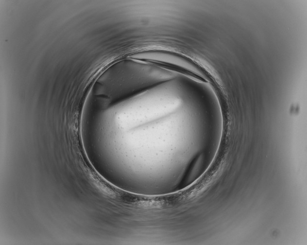 X0000090900793200708131351