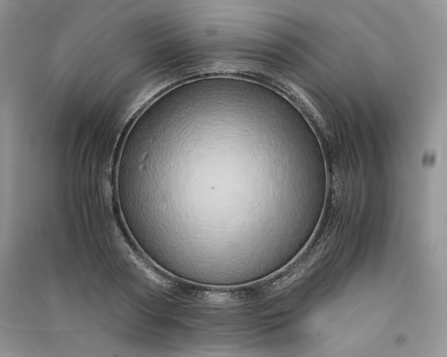 X0000090900794200708131351