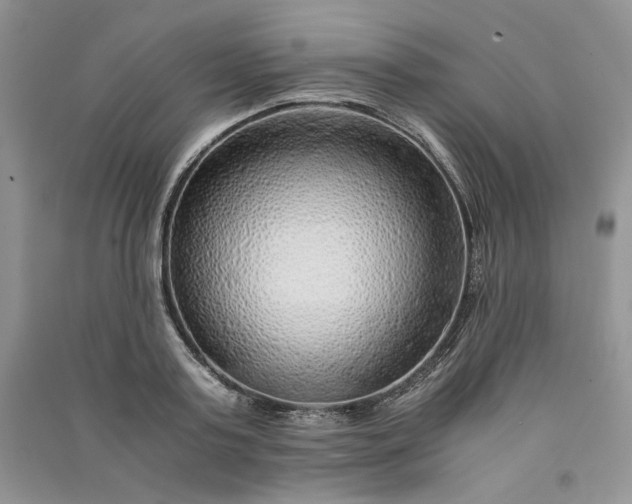 X0000090900795200708131351