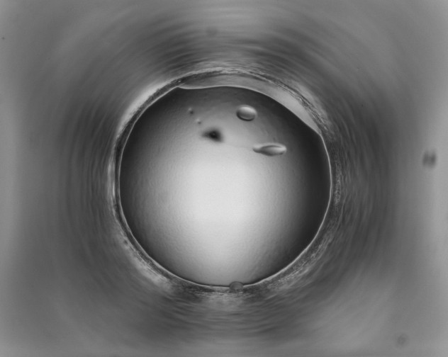 X0000090900796200708131351