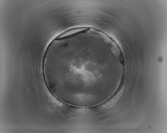 X0000090900797200708131351