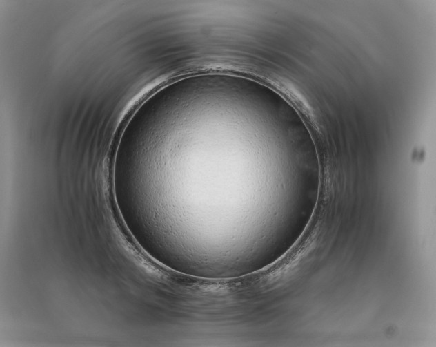 X0000090900798200708131351