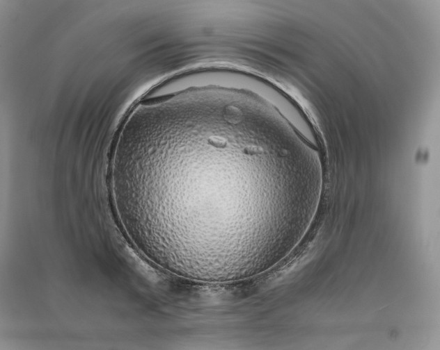 X0000090900799200708131351