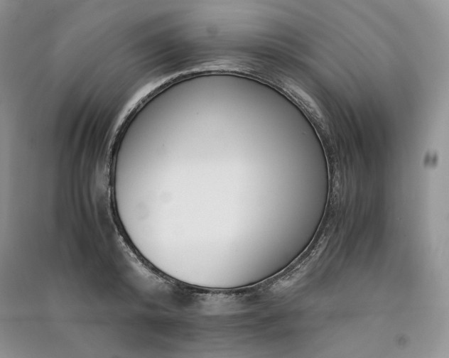 X0000090900800200708131351