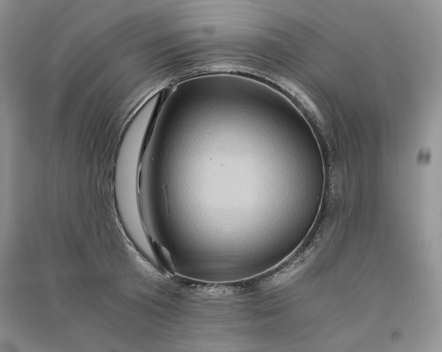 X0000090900801200708131351