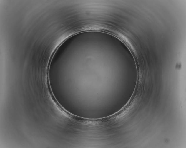 X0000090900802200708131351