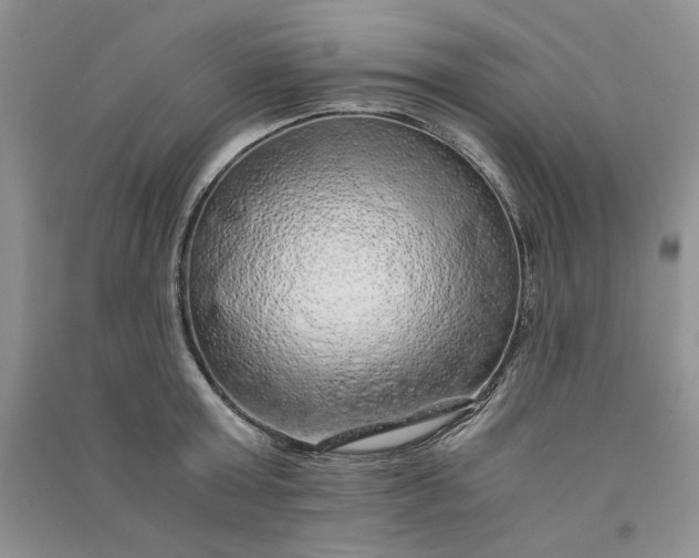 X0000090900803200708131351