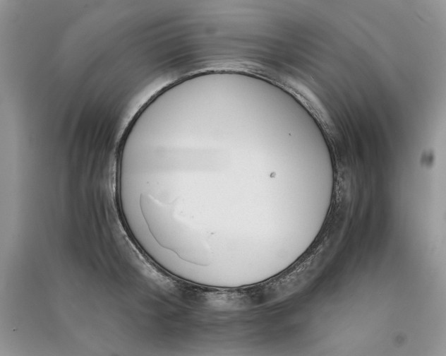 X0000090900804200708131351