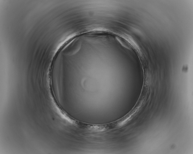 X0000090900806200708131351