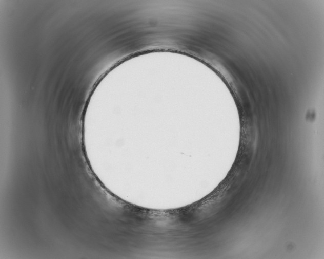 X0000090900807200708131351
