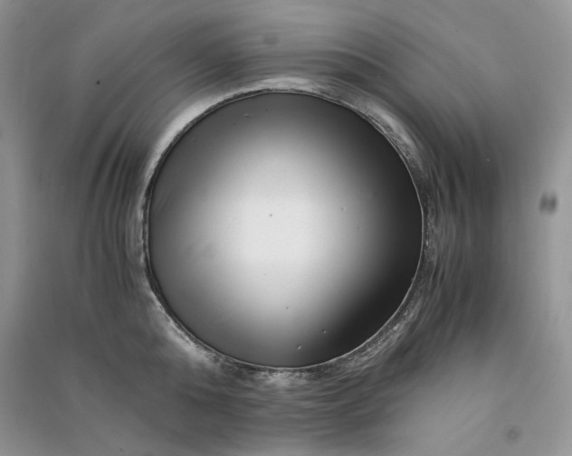 X0000090900808200708131351