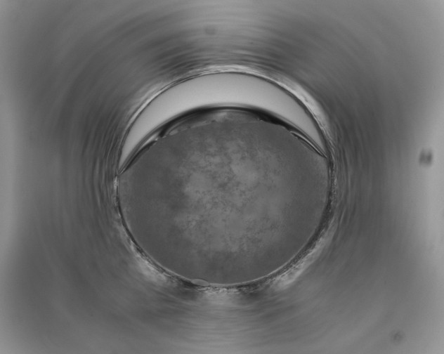 X0000090900809200708131351