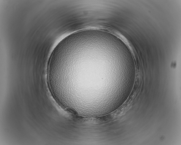 X0000090900811200708131351