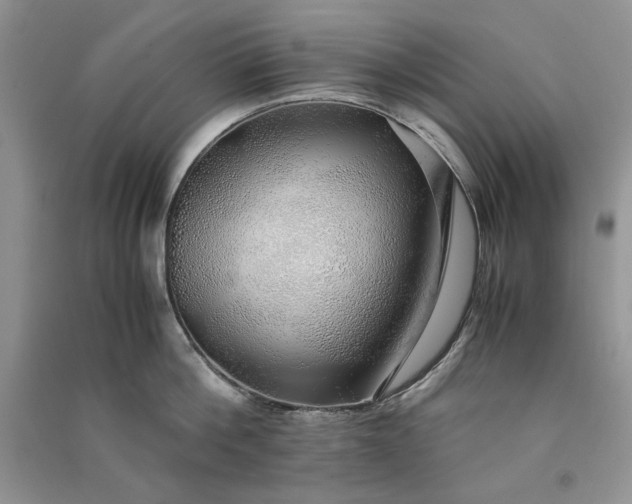 X0000090900812200708131351