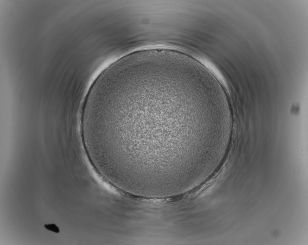 X0000090900813200708131351