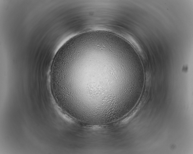 X0000090900814200708131351