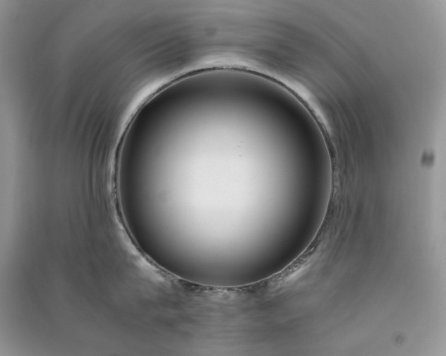 X0000090900815200708131351