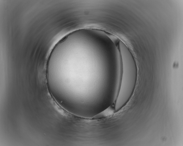 X0000090900816200708131351