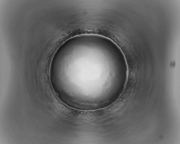 X0000090900817200708131350