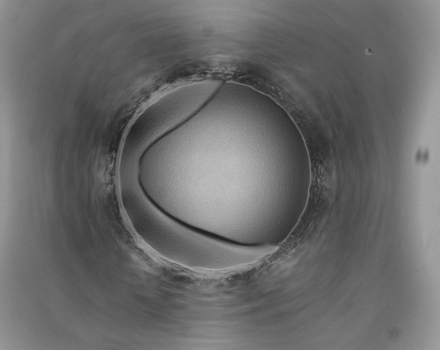 X0000090900818200708131350