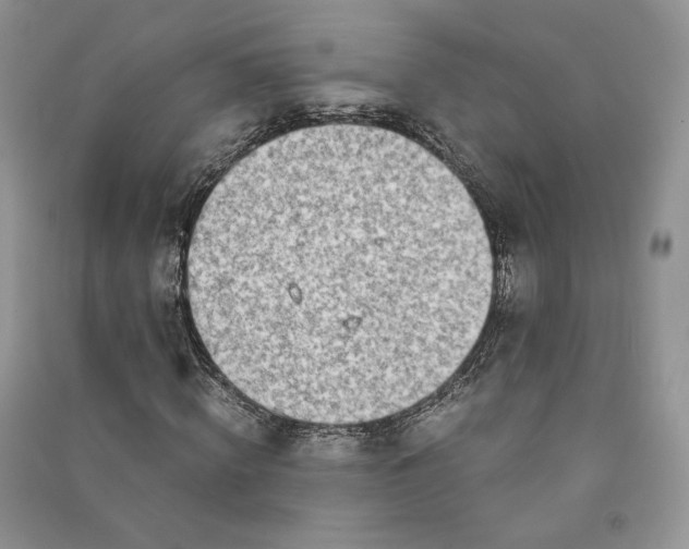 X0000090900820200708131350