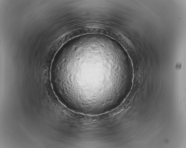 X0000090900821200708131350