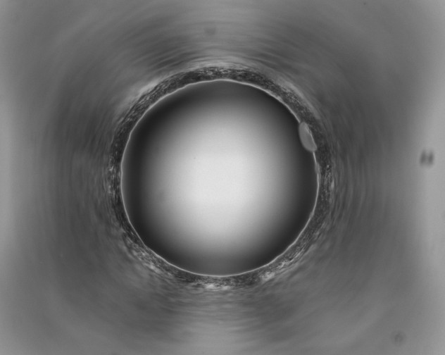 X0000090900822200708131350