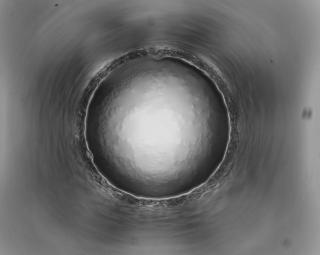 X0000090900823200708131350