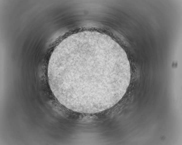X0000090900824200708131350
