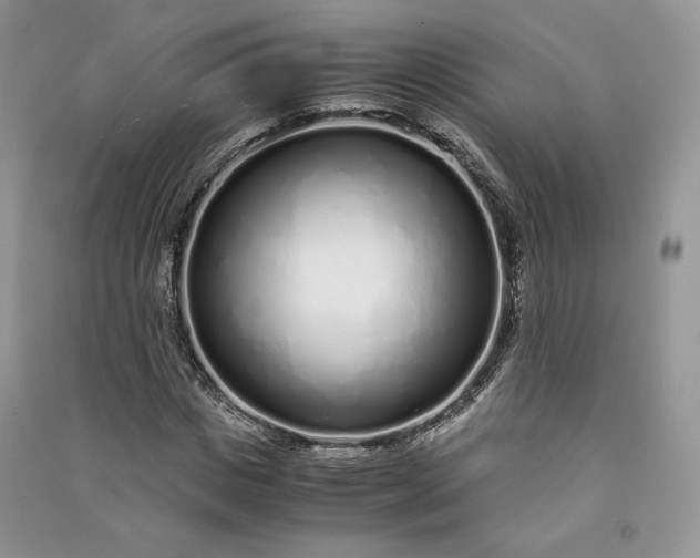 X0000090900825200708131350